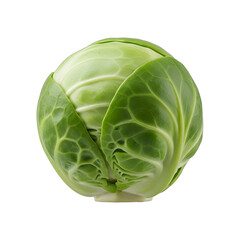 Fototapeta premium A vibrant green brussels sprout, perfectly isolated on transparent background, with crisp focus. Ideal for culinary, health, nutrition, commercial food, recipe, or wellness marketing themes.