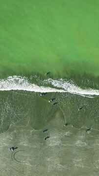 Aerial view of vibrant green ocean waves crashing on the shore,vertical video