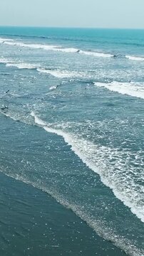 Seabirds gather on the wet, dark sand of a wide beach as gentle turquoise waves roll onto the shore vertical video