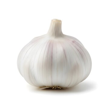 garlic isolated on white background