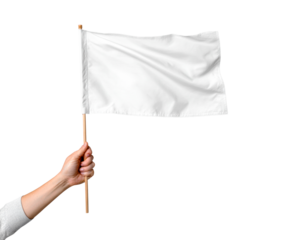 Female hand holds a small blank white flag on a wooden stick, symbolizing surrender, peace, or a new beginning with a clear, bright appearance