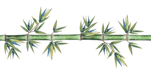 Obraz premium Watercolor seamless bamboo border with green stems and leaves in a clean botanical style. Illustration for packaging, textiles, wallpaper eco brands, spa wellness and Asian-inspired designs.