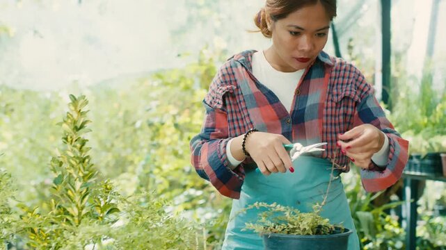 Woman Tending Plants in Greenhouse