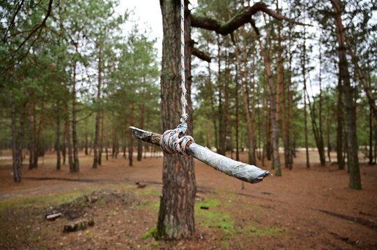 A lonely bungee on a tree branch.