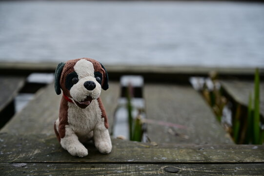 A dog is alone on a pier near the lake water.