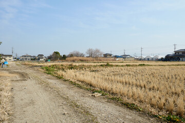 Obraz premium 冬の田園地帯をまっすぐに伸びる農道