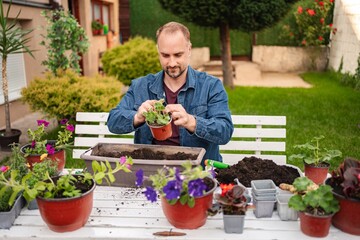 Gardening joy as plants flourish in the sunny backyard