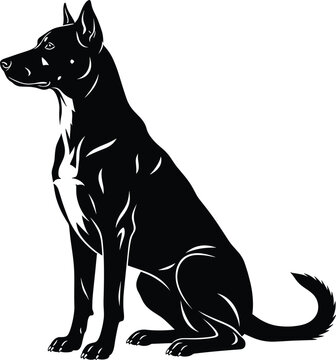 Black and white sitting Belgian Malinois dog silhouette vector illustration for professional k9 training security services and animal protection branding.