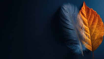 Feather atop autumn leaf on dark backdrop