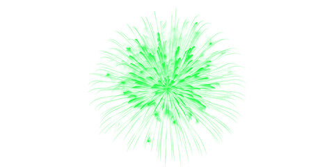 Spectacular green fireworks display burst vibrant glowing light celebration event night sky festive show pyrotechnics © Official Design