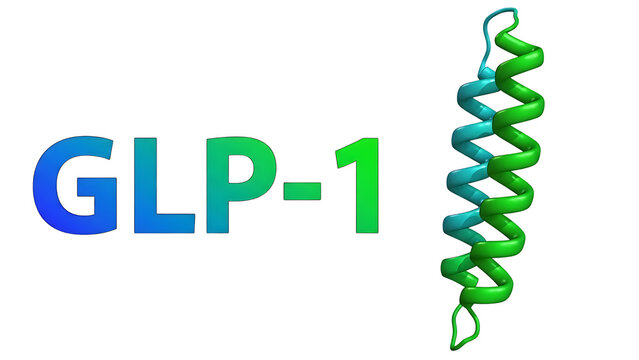 Glp-1 protein structure isolated on transparent background