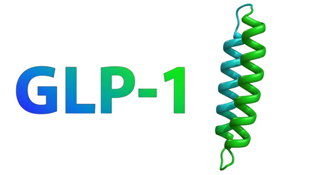 Glp-1 protein structure isolated on transparent background - Powered by Adobe
