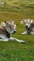 SZWAJCARIA © Marcin