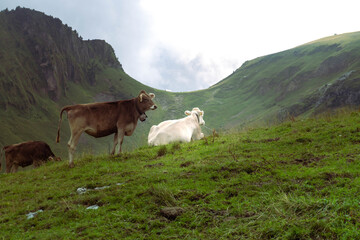 SZWAJCARIA © Marcin