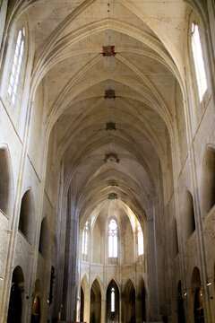 Nef de l'Abbaye Sainte-Marie de Valmagne