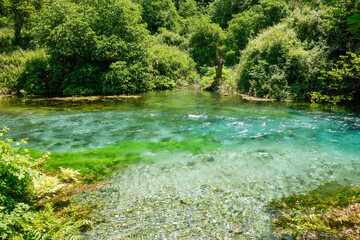 clear water and forest in Blue Eye Nature Monument near to Saranda, Albania