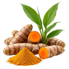 Fresh turmeric roots and powder with green leaves isolated on transparent background
