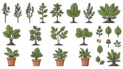 Collection of various green plants and trees isolated on white background. © Muya