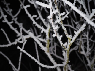 Mróz i szron © EwaAF