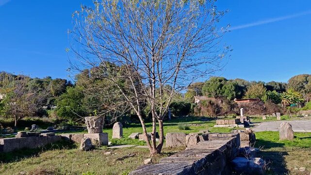 The Basilica of Saint Augustine in Annaba &ndash; Historic Christian Landmark and Roman Ruins of Hippo, Algeria