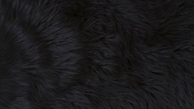 Waving Real Black Animal Fur Texture Background in Slow Motion, 1000fps.