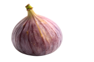 A single, ripe, purple fig fruit, isolated on a plain white background, showcasing its natural texture and vibrant color, perfect for healthy eating and culinary inspiration