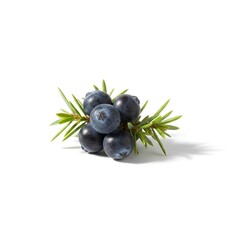 blueberries on white background