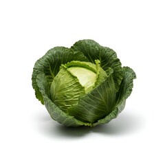 cabbage isolated on white background