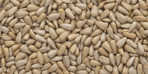 High angle view of organic shelled sunflower seeds for healthy snacking