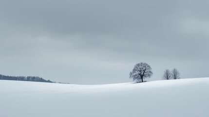 January Simple Field with Snow - Winter Landscape 1 of 8 - 5824 x 3264 - 19 MP created with AI