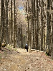 Cammino di Santiago - Pirenei (Roncisvalle)