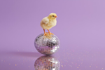 Tiny yellow chick standing on mirrored chrome disco-ball Easter egg in innocence and glamour on lavender background