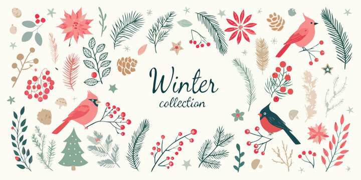 Festive winter botanical illustration featuring cardinals berries and seasonal foliage