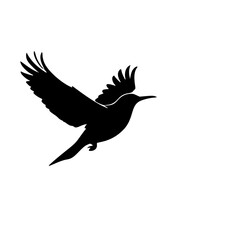 Obraz premium A black silhouette of a roadrunner in flight on transparent background