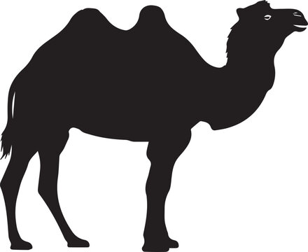 a black silhouette of a camel standing on a white background
