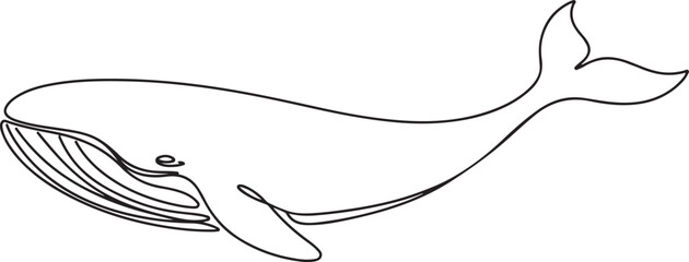 Obraz premium Continuous single drawn one line drawing of whale. Vector illustration, one line Art icon drawing vector