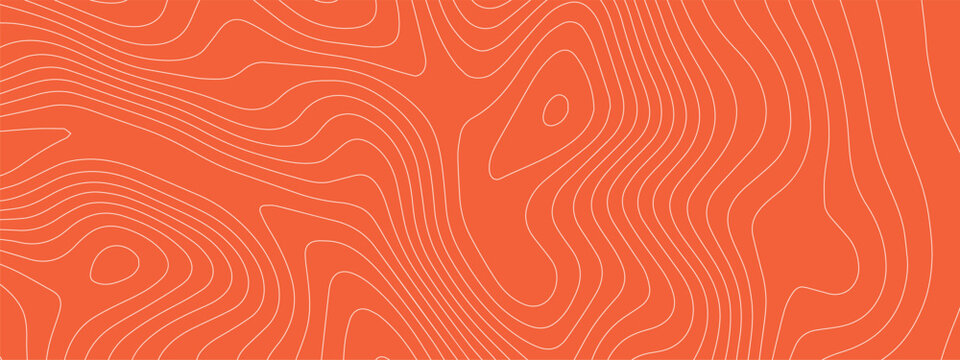 Salmon tuna bg with sushi meat fish for pattern texture abstract. Peach gourmet steak with salmon raw icon for structure sea line. Package vector salmon with marble sushi graphic for meat.