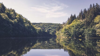 Fototapeta premium Lake surrounded by green forest