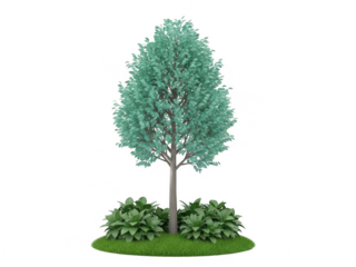 Isolated tree with green leaves on transparent background