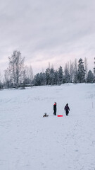 Sledding in the hill. Children pulling a sledges at winter. Snow on the ground and cold temperature.