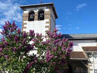 Cammino di Santiago - Zubiri