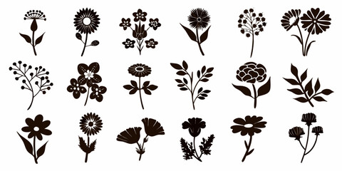 A collection of delicate monochrome floral silhouettes and botanical illustrations