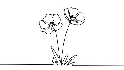 Two Abstract Flowers Line Art - Minimalist Nature & Botanical Drawing