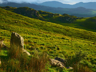 A scenic view shows green rolling hills in Ireland. Sheep graze on the grassy slopes. Mountains rise in the background, shrouded in mist and shadows, creating a peaceful landscape.