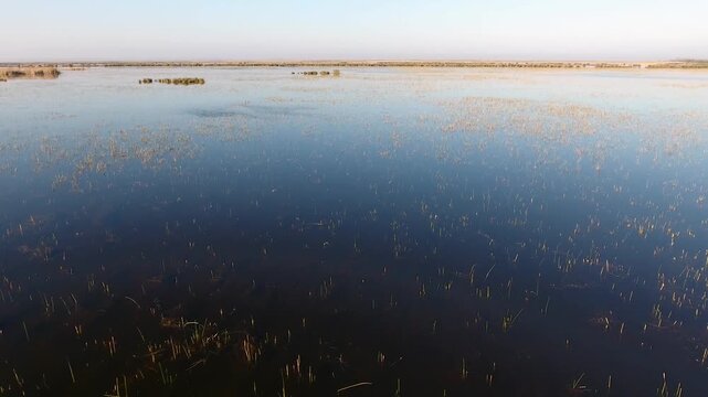 Aerial view of Nile River Delta wetlands showing reeds aquatic plants lakes at sunrise morning. Peaceful wetland landscape highlights delta lakes marsh vegetation and Nile Delta Plain.