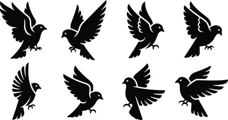 Obraz premium Silhouette of flying birds in various poses