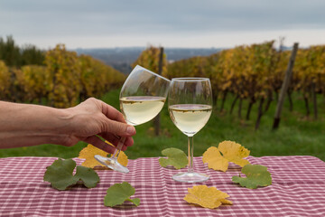 Glasses with dry Riesling white wine from the Rheingau region in the background vineyards in Germany.