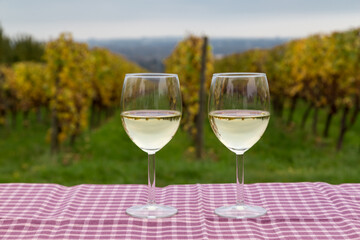 Glasses with dry Riesling white wine from the Rheingau region in the background vineyards in Germany.