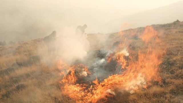 Two male tourists try to extinguish a grass wildfire by stomping burning dry vegetation with their feet. Attempt to stop a natural fire in the wild. Human negligence causes environmental damage
