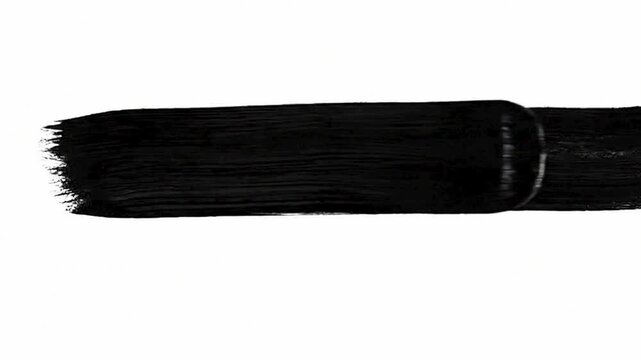 Black ink brush strokes on white background with hand drawn paint stains and grunge texture for artistic design transitions